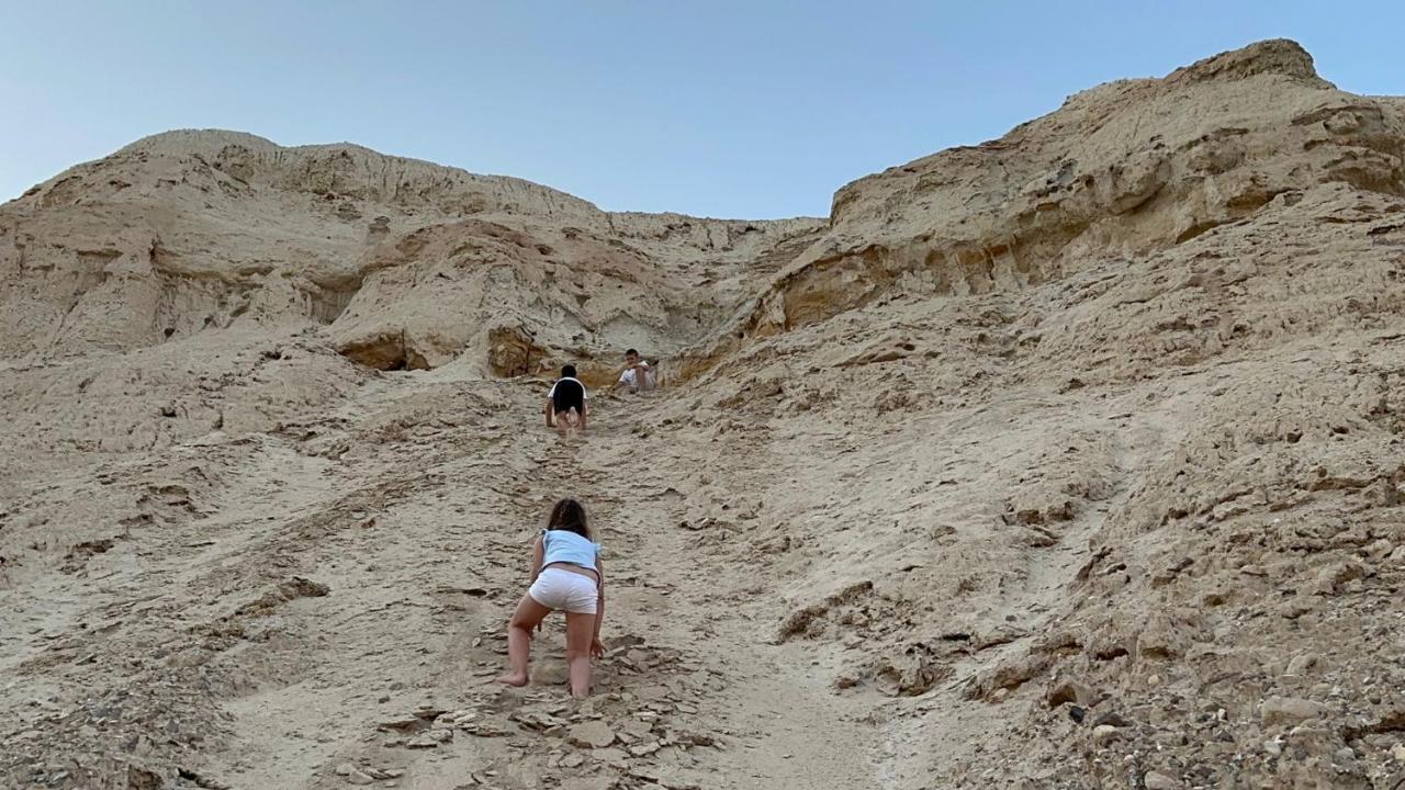 Belfer'S Dead Sea Cabins Neot HaKikar Eksteriør bilde