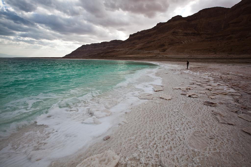 Belfer'S Dead Sea Cabins Neot HaKikar Eksteriør bilde