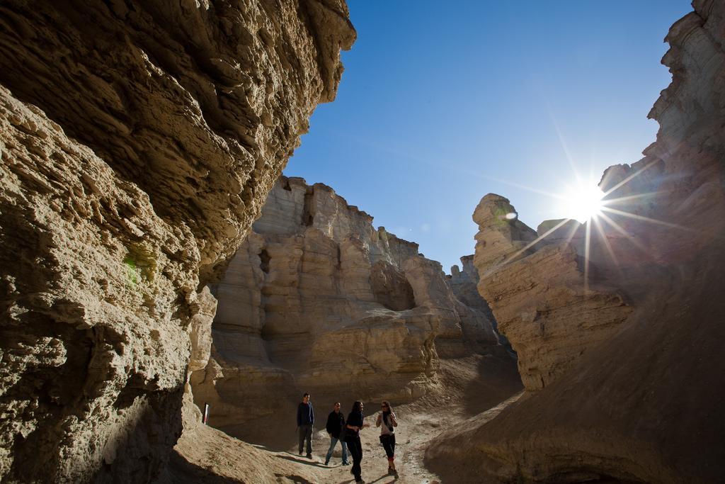 Belfer'S Dead Sea Cabins Neot HaKikar Eksteriør bilde