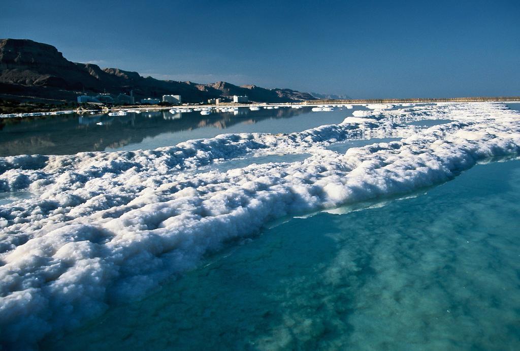 Belfer'S Dead Sea Cabins Neot HaKikar Eksteriør bilde